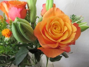 IMG_0716.JPG
