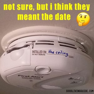 45575083_2001681713202869_8696548277425799168_n.jpg