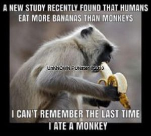 A853A6CD-BD72-4B11-B7D6-BE8CD4CA9BE0.jpeg