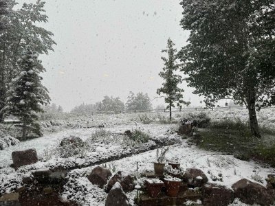 SnowStorm6222025.jpeg