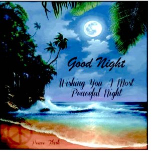 Good night moon copy.jpg