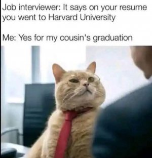 FB_IMG_1750570820476.jpg