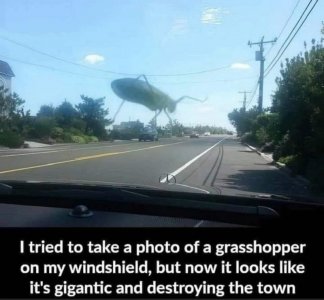 FB_IMG_1750652204533.jpg