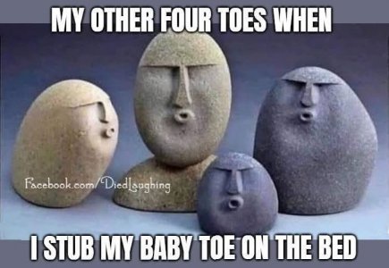 FB_IMG_1750570741279.jpg