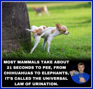 FB_IMG_1750592630230.jpg