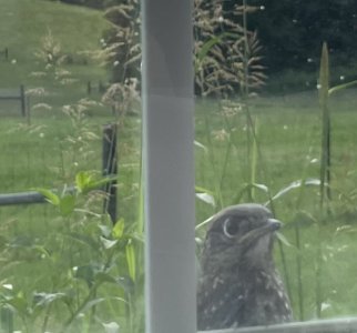IMG_2540.jpeg