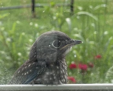 IMG_2541.jpeg