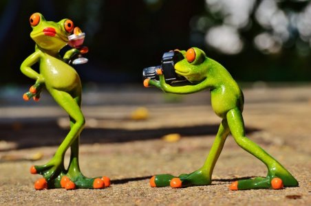 green frog photo model.jpg