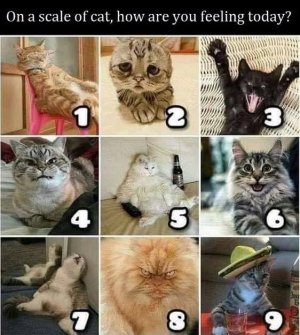 FB_IMG_1750571059860.jpg