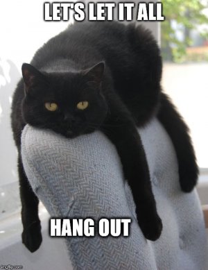 Let It All Hang Out.jpg