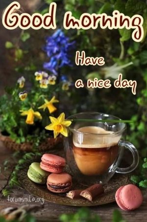 90-good-morning-have-a-nice-day-with-coffee-and-goodies-3386173836.jpg