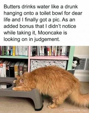 67e5e85d485dc9653e80aac3eaf4eea1.jpg