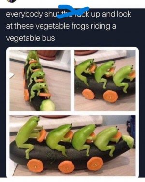 frog.jpg