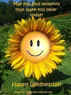 sunflower_wed.jpg