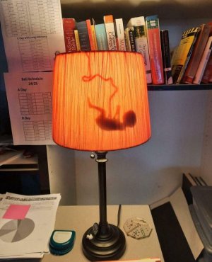 682f37b072c29_interior-design-fails-pics.jpg