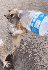 1750868167202.gif