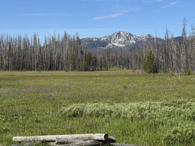 NSawtoothmeadow.jpg