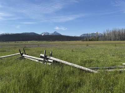 NSawtoothfencemeadowpeaks.jpeg