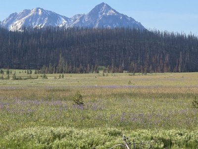NSawtoothmeadowpaeaks62525.jpeg
