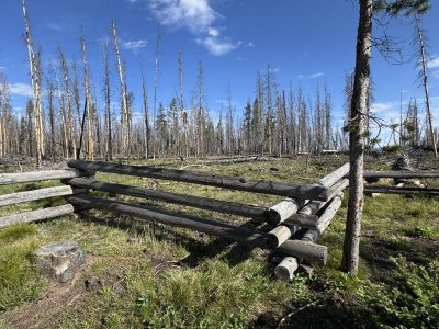 TrapCkfence 62525.jpg
