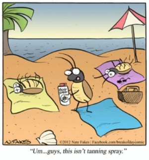 A bugspray joke.jpg