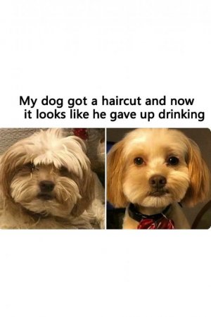 FB_IMG_1750882289562.jpg