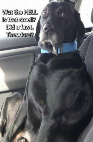 FB_IMG_1750882746152.jpg