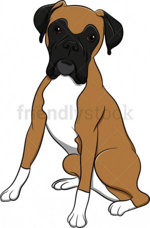 Boxer.jpg