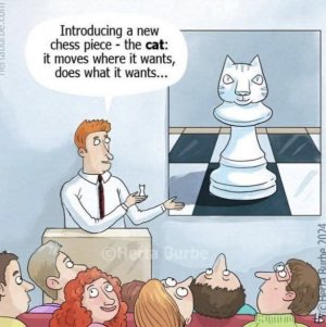 comics1.jpg