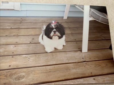 IMG_1909.jpeg