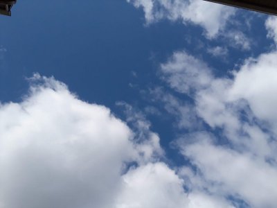 20210802_102142.jpg