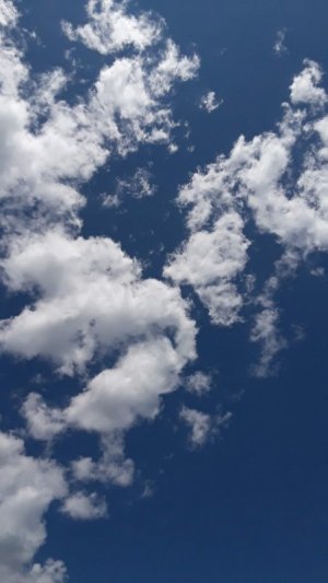 20190622_133506.jpg