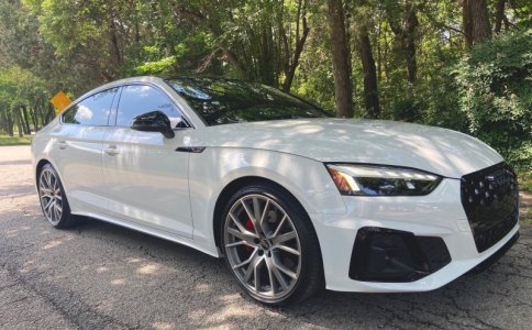 Audi Woods.jpg