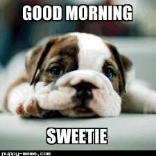 gd.mrng.sweetie.jpg