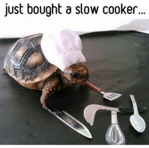 IMG_1895.jpeg