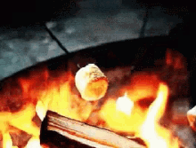 1751023807302.gif