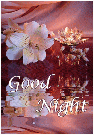 Good night rose.gif