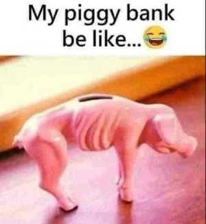 piggy bank.jpg