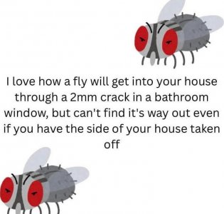 FB_IMG_1751020956774.jpg