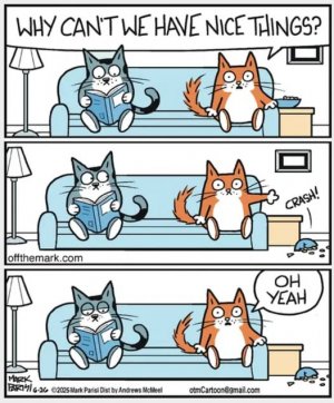 A catcartoon joke.jpg