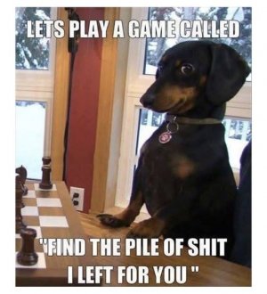A dog shit joke.jpg