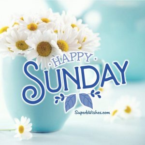 Happy Sunday.jpg