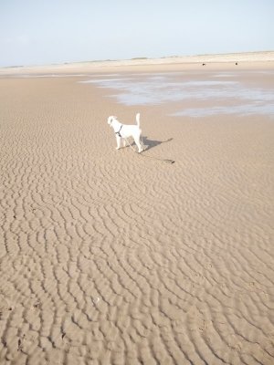 earnse bay 3.jpg
