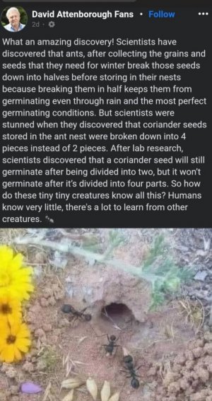 1000005498.jpg