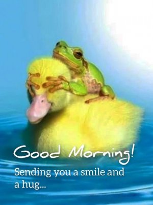 98ab74c4ff55c0f7b7122908d9e5712c.jpg