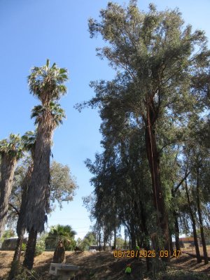 IMG_0003.JPG