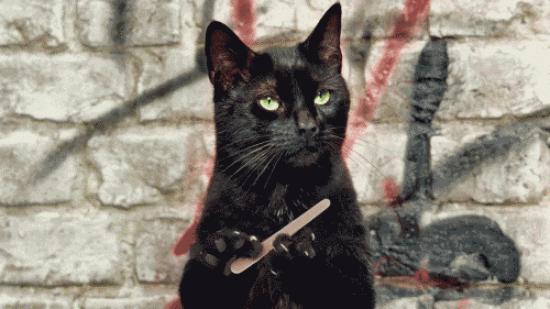 Over It Reaction GIF.gif