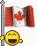 with flag.gif