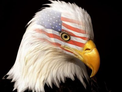 USAflgeagle.jpg