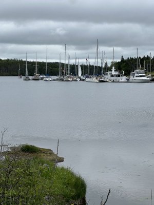 IMG_9427.jpeg